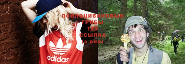 скорость Пестово