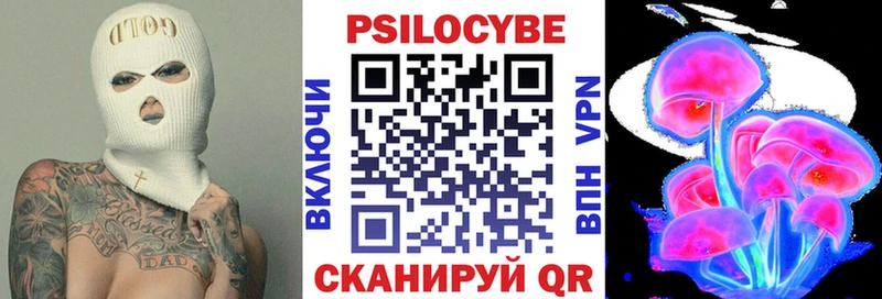Галлюциногенные грибы Psilocybe  хочу наркоту  Камышлов 